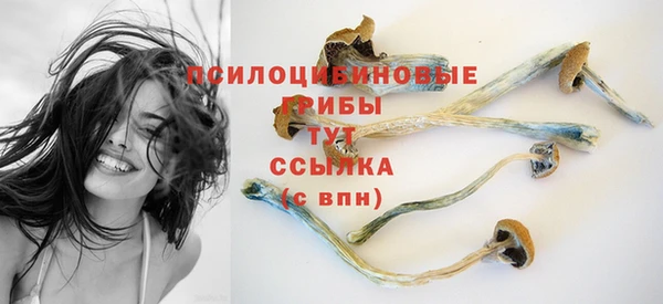 амф Баксан