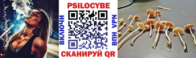 Псилоцибиновые грибы мицелий где найти Первомайск